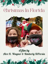Christmas in Florida