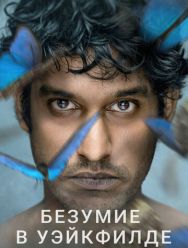 Безумие в Уэйкфилде 1 сезон