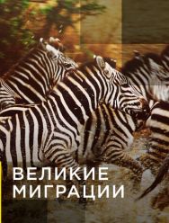 Великие миграции