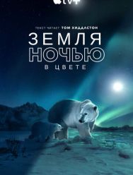 Земля ночью в цвете 2 сезон