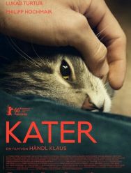 Кот
