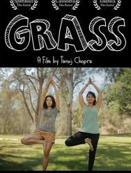 Grass
