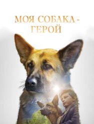 Моя собака - герой