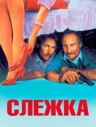 Слежка