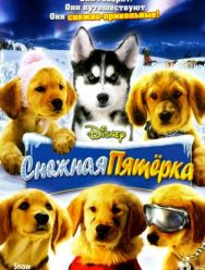 Снежная пятерка
