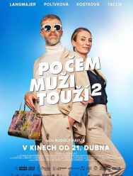Po cem muzi touzí 2