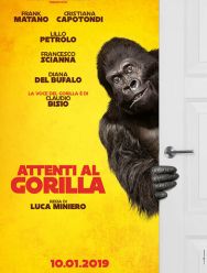 Attenti al gorilla