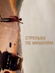 Стрельба по мишеням