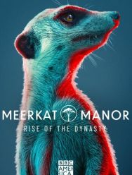 Meerkat Manor: Rise of the Dynasty