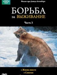 BBC: Борьба за выживание 1 сезон