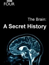 The Brain: A Secret History 1 сезон
