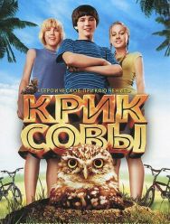 Крик совы