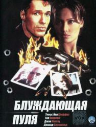 Блуждающая пуля