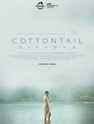 Cottontail